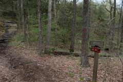 Dixon Springs SP - Bluff Trail