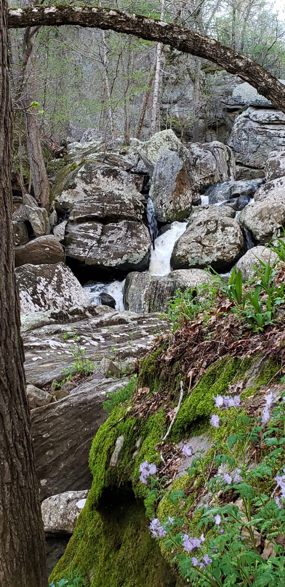 Ghost Dance Canyon & Falls – 2019-04 – AnR Adventures